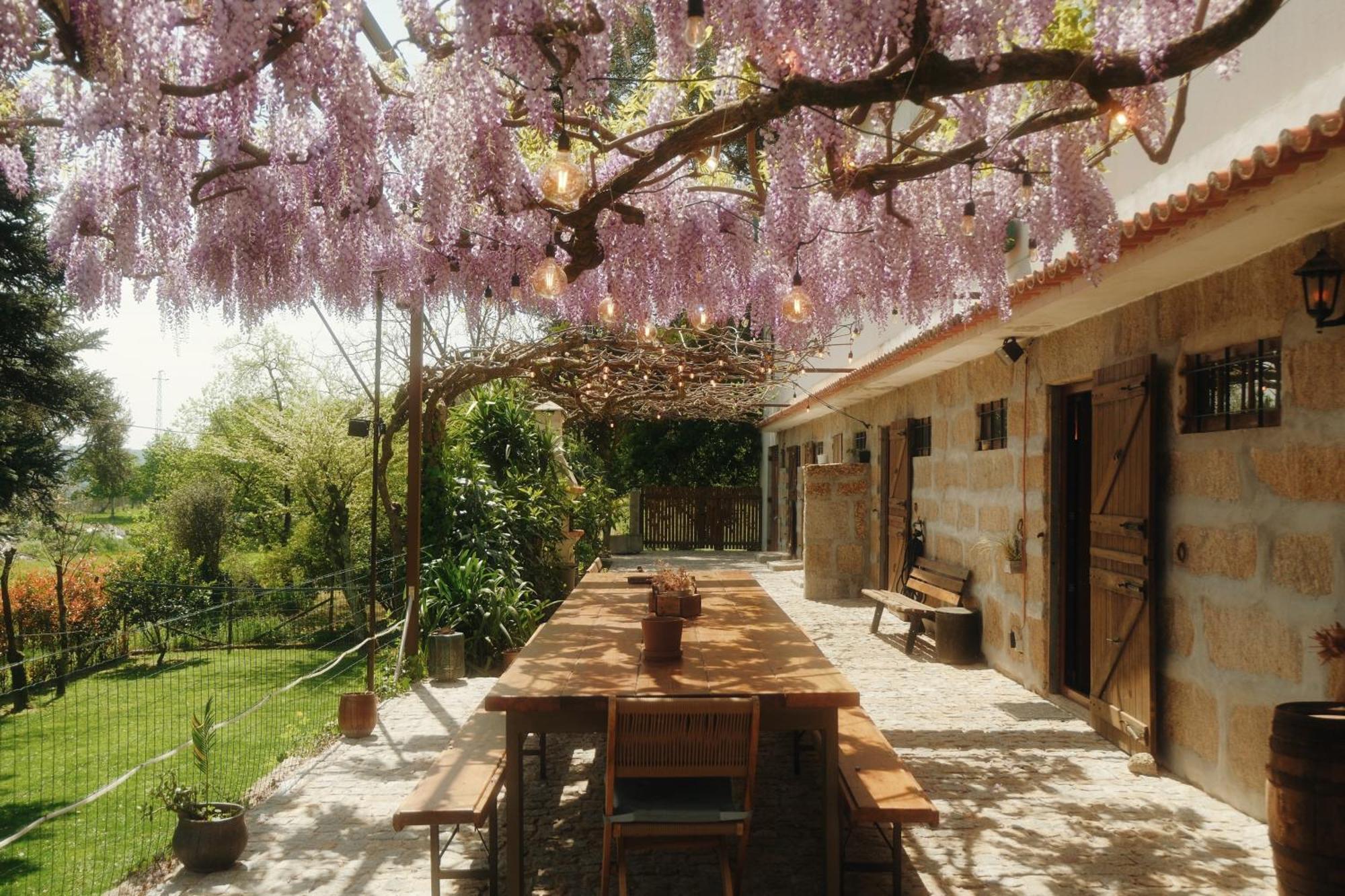 Casa Da Alvarinha Privacidade Conforto Natureza Paredes  Esterno foto
